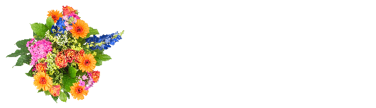 Sintelix Logo